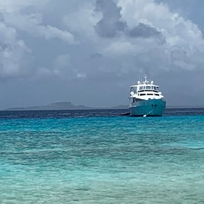 Profile Picture of Ana Cuellar (@avwcuellar) on Twitter