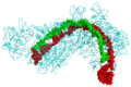 Profile Picture of CRISPR - Wikipediaon Wikipedia