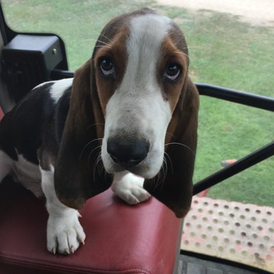 Profile Picture of Scott German (@Germanscott74) on Twitter