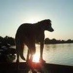 Profile Picture of Jim Eason (@jim.eason.3110) on Instagram