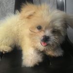 Cassandra Nicolle Casalta - Instagram Profile Picture of Cassandra Nicolle Casalta (@cassandranicollecasalta) on Instagram