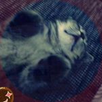 Profile Picture of 연태 (@cho59c_j_david) on Instagram