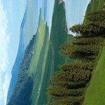 Profile Picture of Poulos (@ahosamsonen) on Instagram