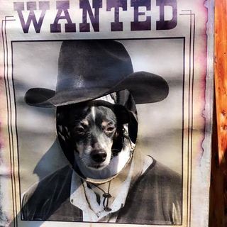 Profile Picture of Kyle McLeish (@kmcleish2) on Facebook