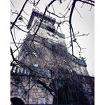 Profile Picture of Jeanette Reid (@jeanettereid273) on Instagram