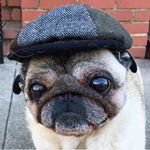 Profile Picture of Corey Saxon (@corey.saxon) on Instagram