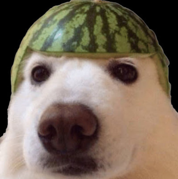 Profile Picture of Zachary Bellerose (@zacab90) on Poshmark