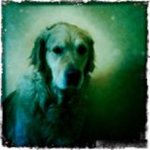 Profile Picture of David Heckler (@gibson30510) on Instagram