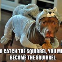 Profile Picture of Rooster Cogburn (@thomasorum) on Pinterest