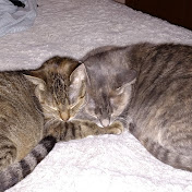 Profile Picture of Michael Werkmeister (@michaelwerkmeister6967) on Youtube