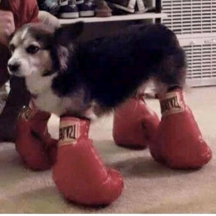 Profile Picture of Shawn fowler (@fowler.shawn15) on Tiktok