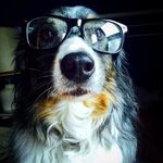 Profile Picture of Jillian Larson (@wandering_jillian) on Instagram