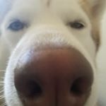 Profile Picture of Craig Mcdonald (@crgmc) on Instagram