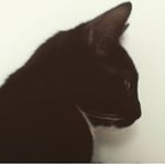 Profile Picture of Johnny Silva (@johnny_silva_rei) on Instagram