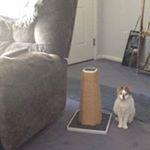 Profile Picture of Sherrie Smith Lloyd (@sherrie.lloyd) on Instagram