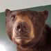 Profile Picture of Bert Campbell (@bert.campbell.1671) on Facebook