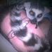 Profile Picture of Search instead for Ian Dillin (@Ian-Dillin) on Facebook