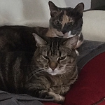 Bob Romano - Flickr Profile Picture of Bob Romano (@bobromano) on Flickr