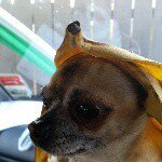 Profile Picture of Clive (@crispysouls) on Instagram