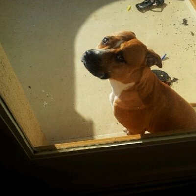 Profile Picture of Primault Christopher (@mochan60) on Twitter