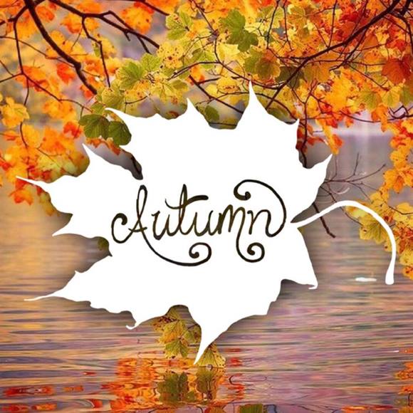 Profile Picture of Rana Kreger (@ranakreger) on Poshmark