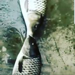 Profile Picture of James Stebbins (@james.stebbins3) on Instagram