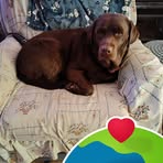Profile Picture of Keith Enzor (@keith.enzor.2025) on Facebook