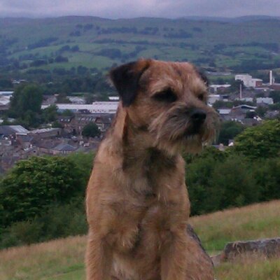 Profile Picture of Michael Aspinall (@taz205t16) on Twitter