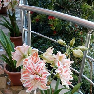 Profile Picture of Teresa Godlewska (@teresa.godlewska.73) on Facebook
