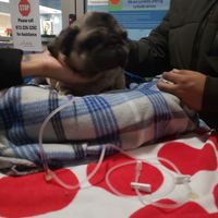 Profile Picture of Jayson Ruiz (@jayson-ruiz-13) on Quora