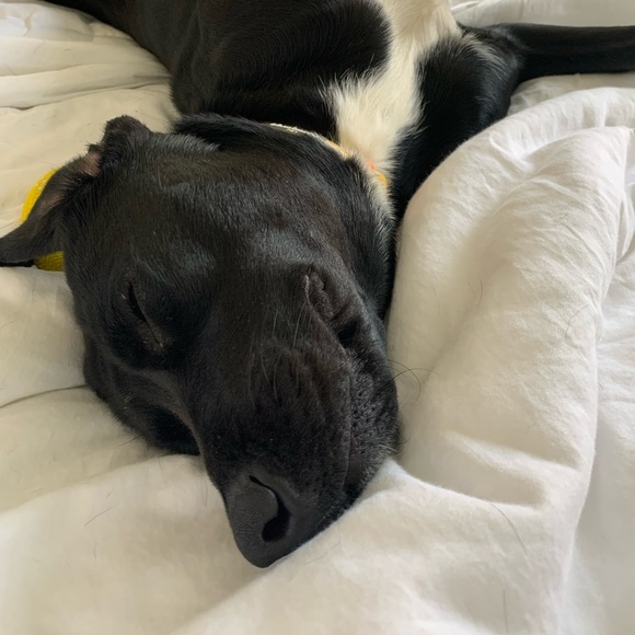 Helena Rudoff - Poshmark Profile Picture of Helena Rudoff (@hellenabox) on Poshmark