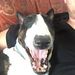 Profile Picture of Keith Hayles (@keithhayles) on Pinterest