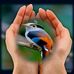 Profile Picture of Andrew Siman (@andrew.siman.52) on Facebook