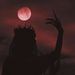 Profile Picture of Nelly Jiménez (@Nelly_Adonias) on Pinterest