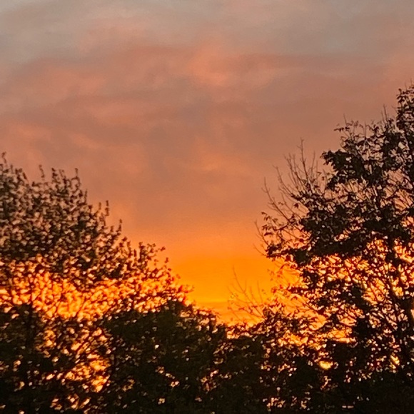 Profile Picture of Ava Ramig (@avaramig) on Poshmark