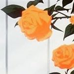 Profile Picture of Jacob Lindley (@jacob_lindley_7) on Instagram