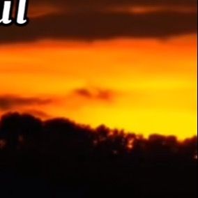 Profile Picture of Lori Perry (@lori.perry50) on Tiktok