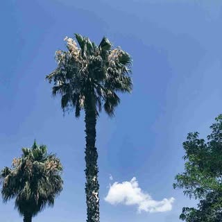 Profile Picture of James Stigers (@stigers.james) on Instagram