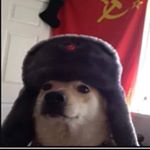 Gavin McMahon - Instagram Profile Picture of Gavin McMahon (@gavincolemcm) on Instagram