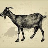 Sean Romocki - Pinterest Profile Picture of Sean Romocki (@earthsmurf) on Pinterest