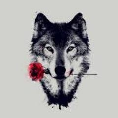 Profile Picture of Cody Jacob Thayer (@Codes141) on Twitter