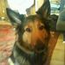 Profile Picture of Andrea Zapp (@andrea.zapp.96) on Facebook