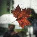 Profile Picture of Shahla Zandi (@shahla.zandi.90) on Facebook