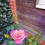 Profile Picture of Marlena SkowronKamień (@Marlena-Skowron-Kamień) on Facebook