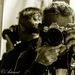 Profile Picture of Lucio Mancini (@arturartmancini69) on Pinterest