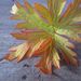 Profile Picture of Kim Wildey-Vidal (@kwvidal) on Pinterest