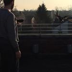 Profile Picture of Peter Adams (@who_wears_short_shorts_) on Instagram