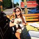 Clara Frances Cannon - Instagram Profile Picture of Clara Frances Cannon (@claracannon) on Instagram