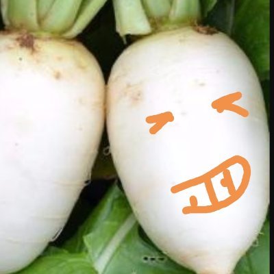 Profile Picture of Bernardo Pichardo Pollatos (@Bernardopichar5) on Twitter