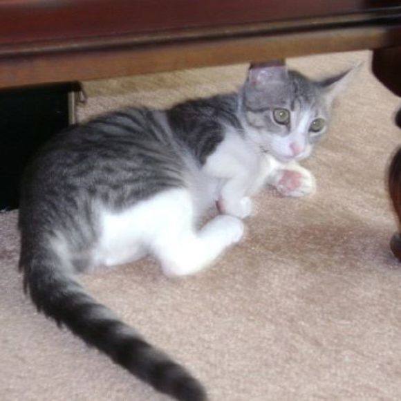 Profile Picture of Edward Brewer (@edwardbrewer) on Poshmark